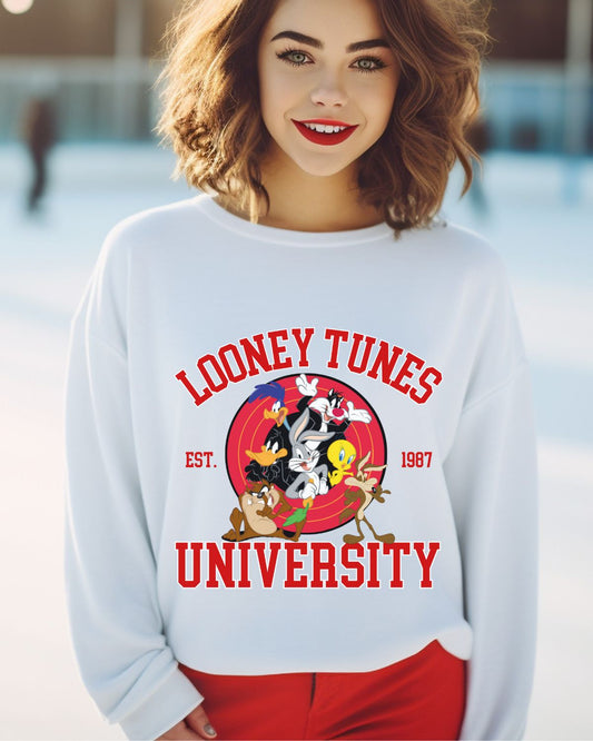 Looney tune university Hoodie or sweatshirt www.j4funboutique.com